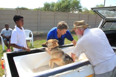 C.A.R.S. hou dipdag vir honde
