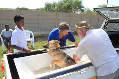 C.A.R.S. hou dipdag vir honde