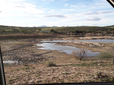 Boere deur droogte geteister