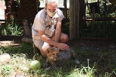 4-month-old cheetah cubs doing well