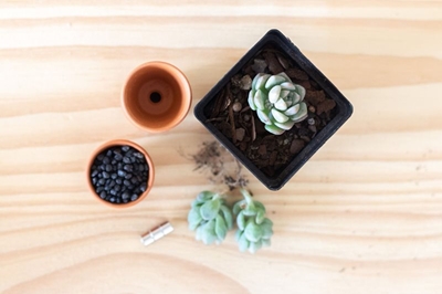 These succulent fridge magnets are so cute and they’re easy to make!