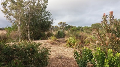 Botanical Garden: All invited to info session