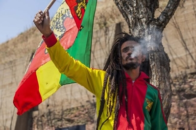 Marijuana-related careers you can now consider