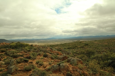 Wes-Kaapse bewaringsgebied groei met 47 000 hektaar