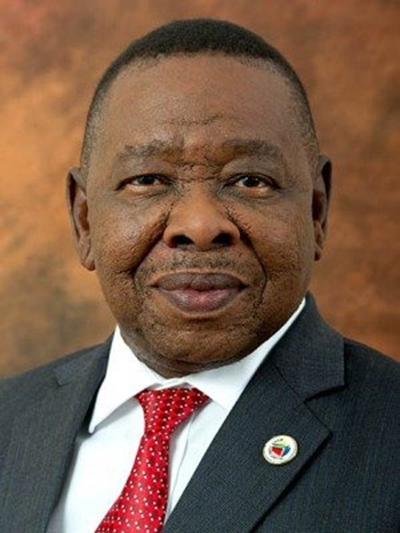 Nzimande ready to serve in Cabinet again