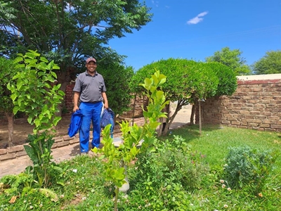 Tree planting an ongoing project