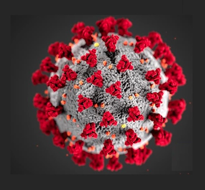 Honing in on preventing 2nd Covid wave