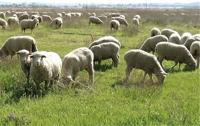 Free State farmworker empowerment initiative