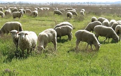 Free State farmworker empowerment initiative