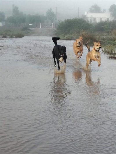 Rain brings joy!