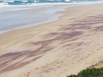 Dana Bay: Possible oil spill