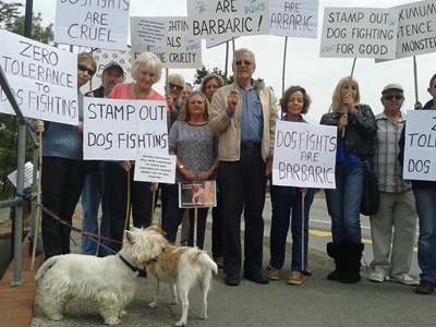 Dog-fighting trial resumes