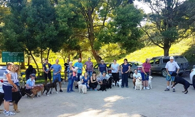 Fun walks for dogs (and owners)