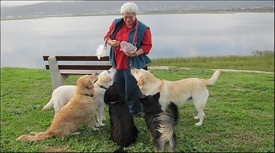 How to turn doggy do into a holiday