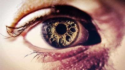 A Cure in sight for Retinal Blindness