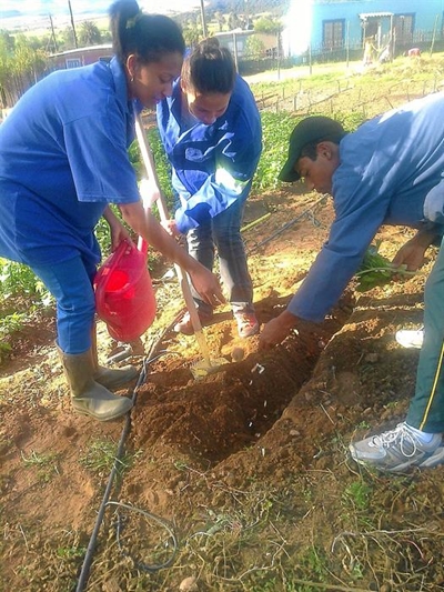 Child Welfare 'go green'