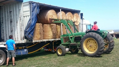 Kerk samel geld in vir boere in nood