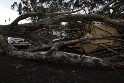 Geringe plaaslike skade na storm