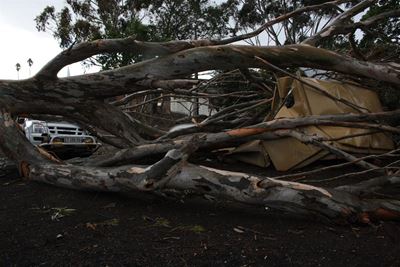 Geringe plaaslike skade na storm