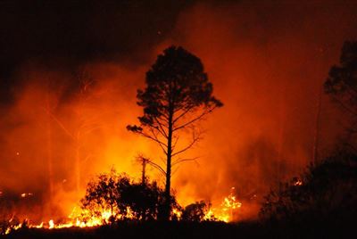 Vure hou brandbestryders besig