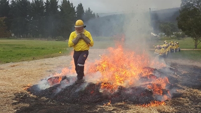 Working on Fire: Committed to saving lives