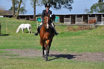 Vollies ruiters sit stewig in saal
