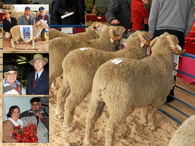 Skaap en Woldag 'n reuse sukses