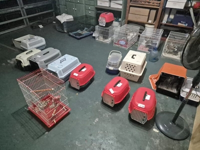 Cats, dogs, chickens spend night in garage after threat of Mossel Bay fire