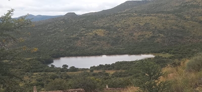 'n Nat week bring vreugde