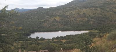 'n Nat week bring vreugde