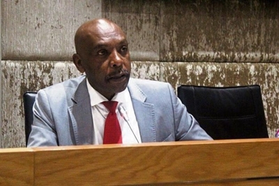 Senior ANC politician handing himself over to police is a ‘deflection’, says Malema