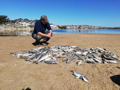 Riviermond meganies oopgemaak ná visvrektes