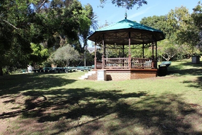 Man fatally injured during tree removal at park