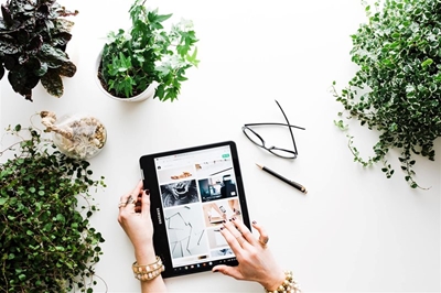 Online shopping: The rise of click and collect