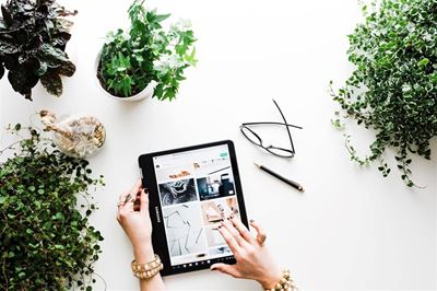 Online shopping: The rise of click and collect