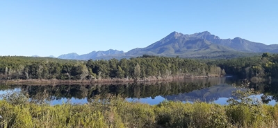 Garden Route Dam level at 71,90% 