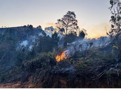 Keurbooms-Soetkraal fire contained