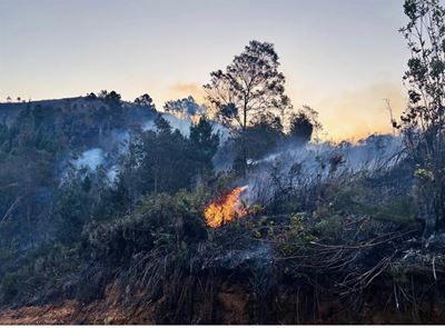 Keurbooms-Soetkraal fire contained