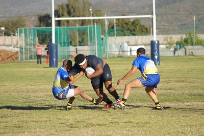 All Blacks wen voorloper Seagulls