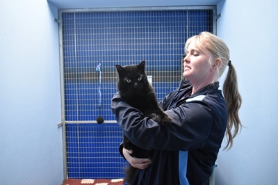 Big cat with big personality needs home