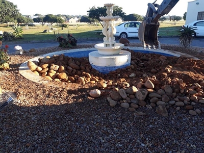 Buzzy Lizzy verfraai Stilbaai