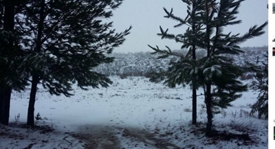 First snow of 2020 recorded as lockdown SA holds breath for ‘coming storm’ of winter