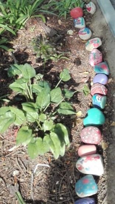 Lessons from nature for young ones