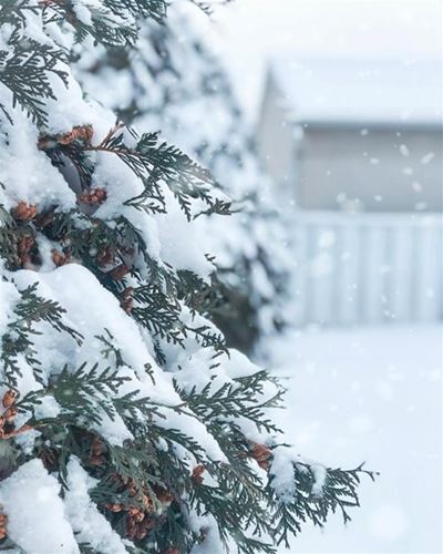 Further wintry weather for the latter half of this week