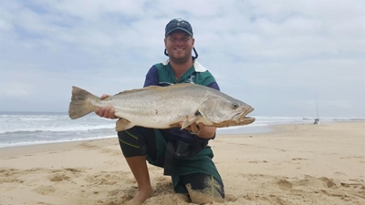Potgieter haak gesogte toekenning