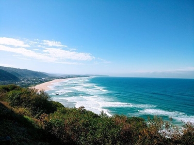 Tourist assaulted, robbed at Dolphin's Point