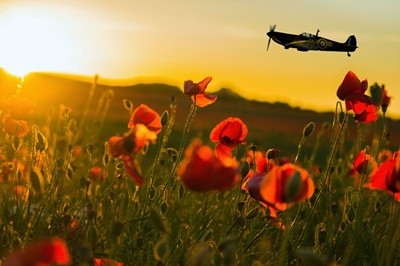 Fallen hero remembrance day 