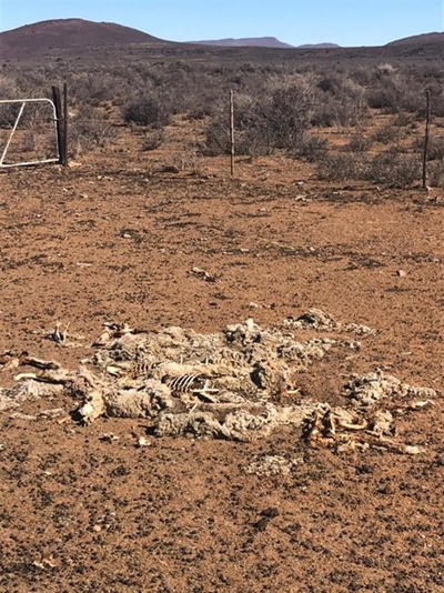 Nog skenkings benodig vir Die Bad se boere, werkers
