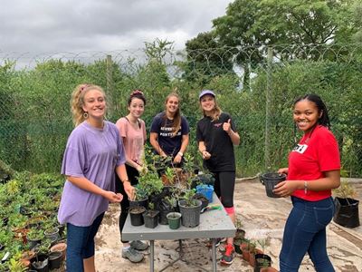 BotSoc SA growing in the Garden Route