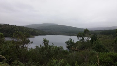Garden Route Dam level at 95,12%